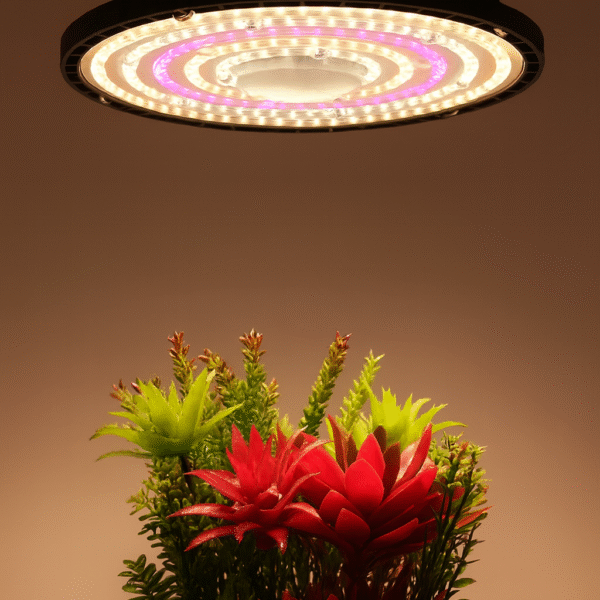 UFO - მრგვალი ბიო სანათი